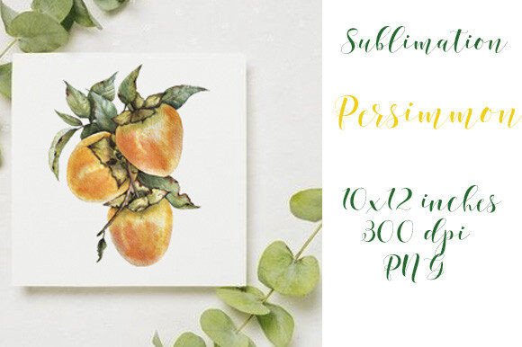 Sublimation of Persimmon Fruit PNG