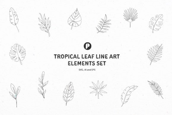 Tropical Leaf Line Art Elements Set: Graphics & Illustrations